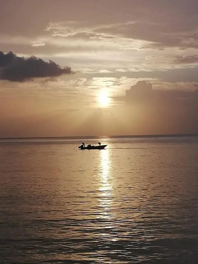 Gites Les Lodges Des Hauts De Deshaies Bungalow Aruba